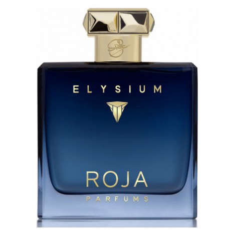 Roja Elysium Pour Homme Parfum Cologne 100 ML