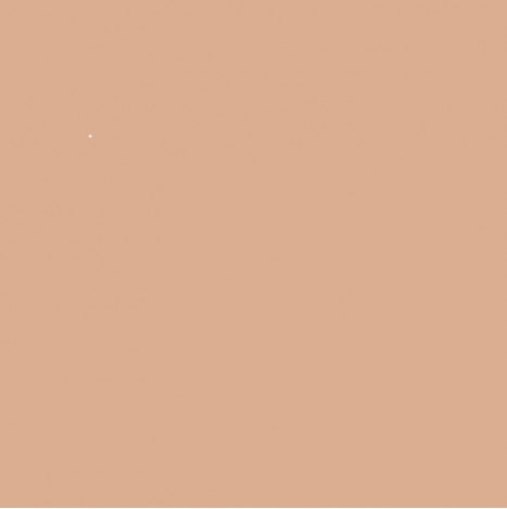 Skincolor - The Soft Fluid Long Wear Foundation SPF20 (30ml) - NEUTRAL