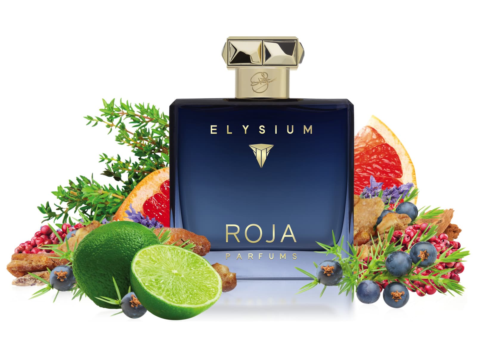Roja Elysium Pour Homme Parfum Cologne